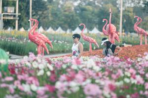 BIB: 
                            <button type="button" onclick="openModal(27343976)" class="btn btn-primary btn-sm float-right btn-popup" data-toggle="modal" data-target=".modal-high-quality">
                        <i class="fas fa-shopping-cart"></i> Add to Cart
                    </button>
                                            <button type="button" onclick="isThisMe(27343976, true)" class="btn btn-success btn-sm float-right btn-popup btn-isme hidden" data-toggle="tooltip" data-placement="bottom" title="นี่คือรูปของคุณใช่ไหม คลิกที่นี่เพื่อเอาเข้าอัลบั้ม">
                        <i class="fas fa-plus"></i> Add to album
                    </button>
                    <button type="button" onclick="isThisMe(27343976, false)" class="btn btn-warning btn-sm float-right btn-popup btn-isnotme hidden">
                        <i class="fas fa-ban"></i> Remove from album
                    </button>